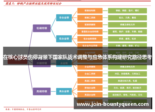 在核心球员伤停背景下国家队战术调整与应急体系构建研究路径思考