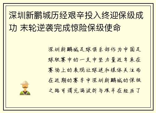 深圳新鹏城历经艰辛投入终迎保级成功 末轮逆袭完成惊险保级使命